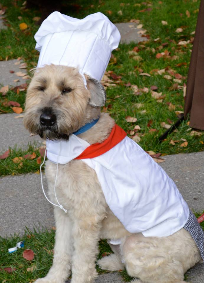 "Howl-O-Ween" Costume Party at the Seaport Hotel