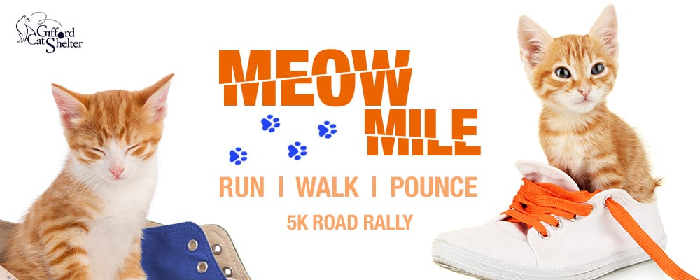 Gifford Cat Shelter 2016 Meow Mile 5K