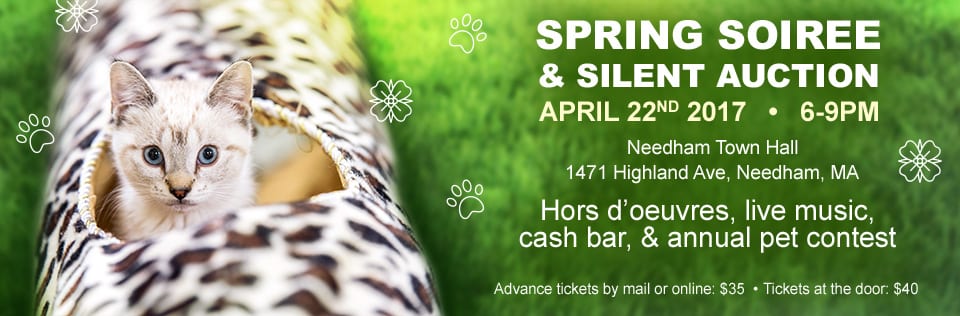 Spring Soiree and Silent Auction: a benefit for homeless cats