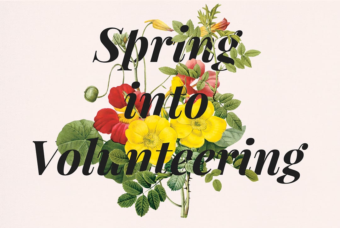 Spring Into Volunteering