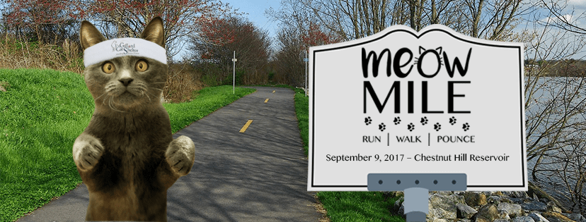 Gifford Cat Shelter 2017 Meow Mile 5K