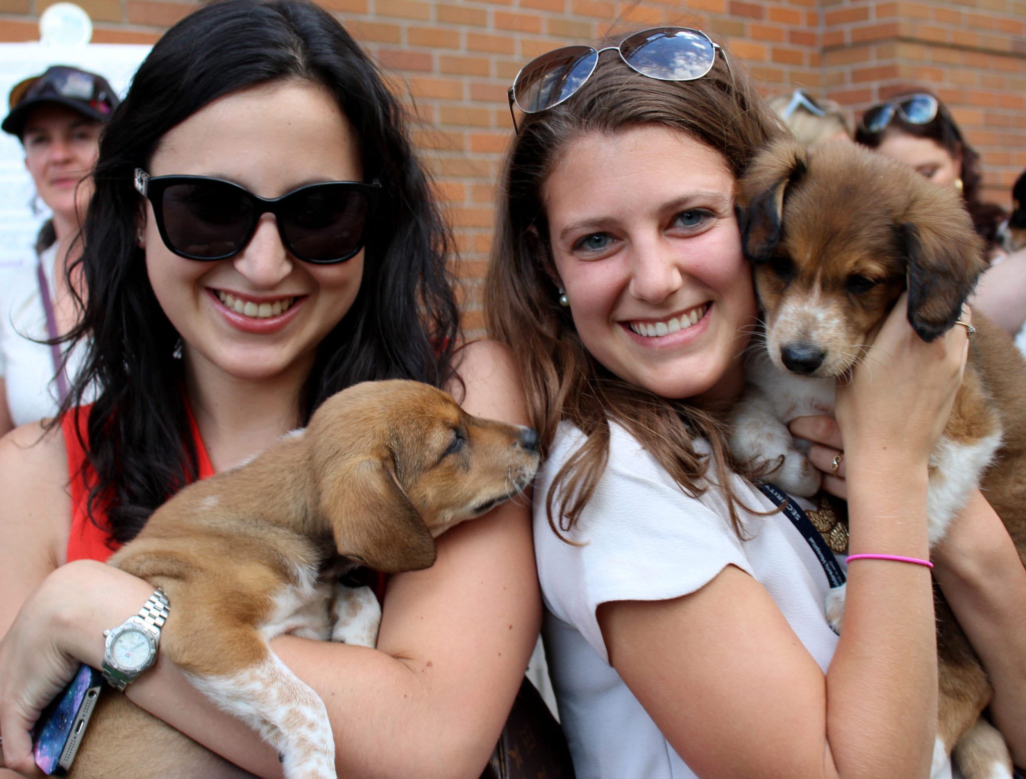 Seaport Hotel Kicks Off Canines & Cocktails with NBC10’s Natasha Verma