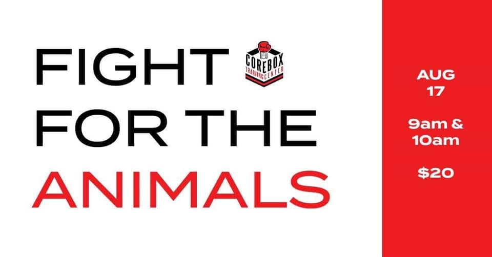 Fight for the Animals-Boxing Fundraiser