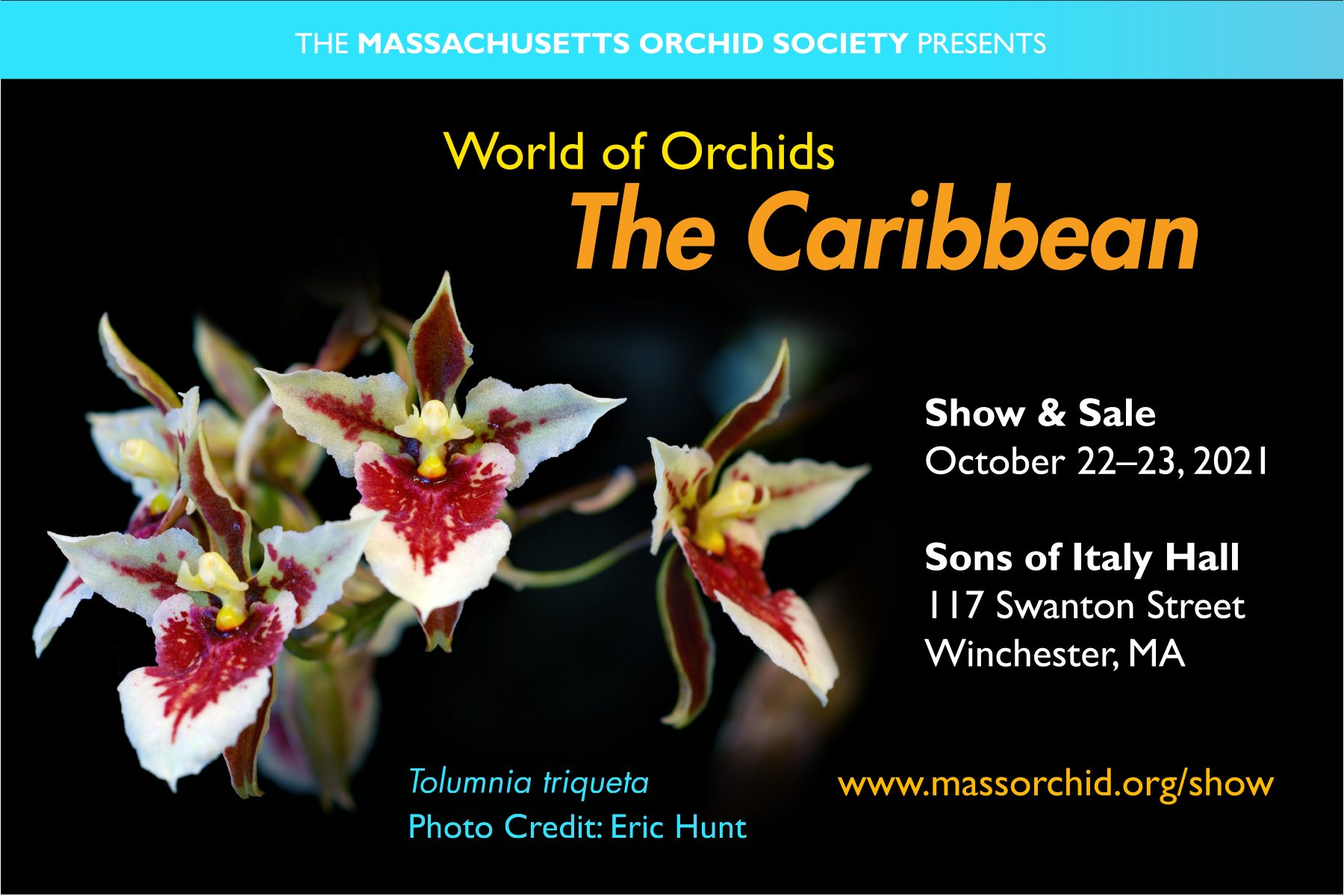 WORLD OF ORCHIDS: The Caribbean - Massachusetts Orchid Society Annual Show and Sale