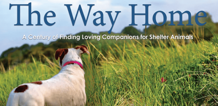 The Way Home: A Century of Finding Loving Companions for Shelter Animals