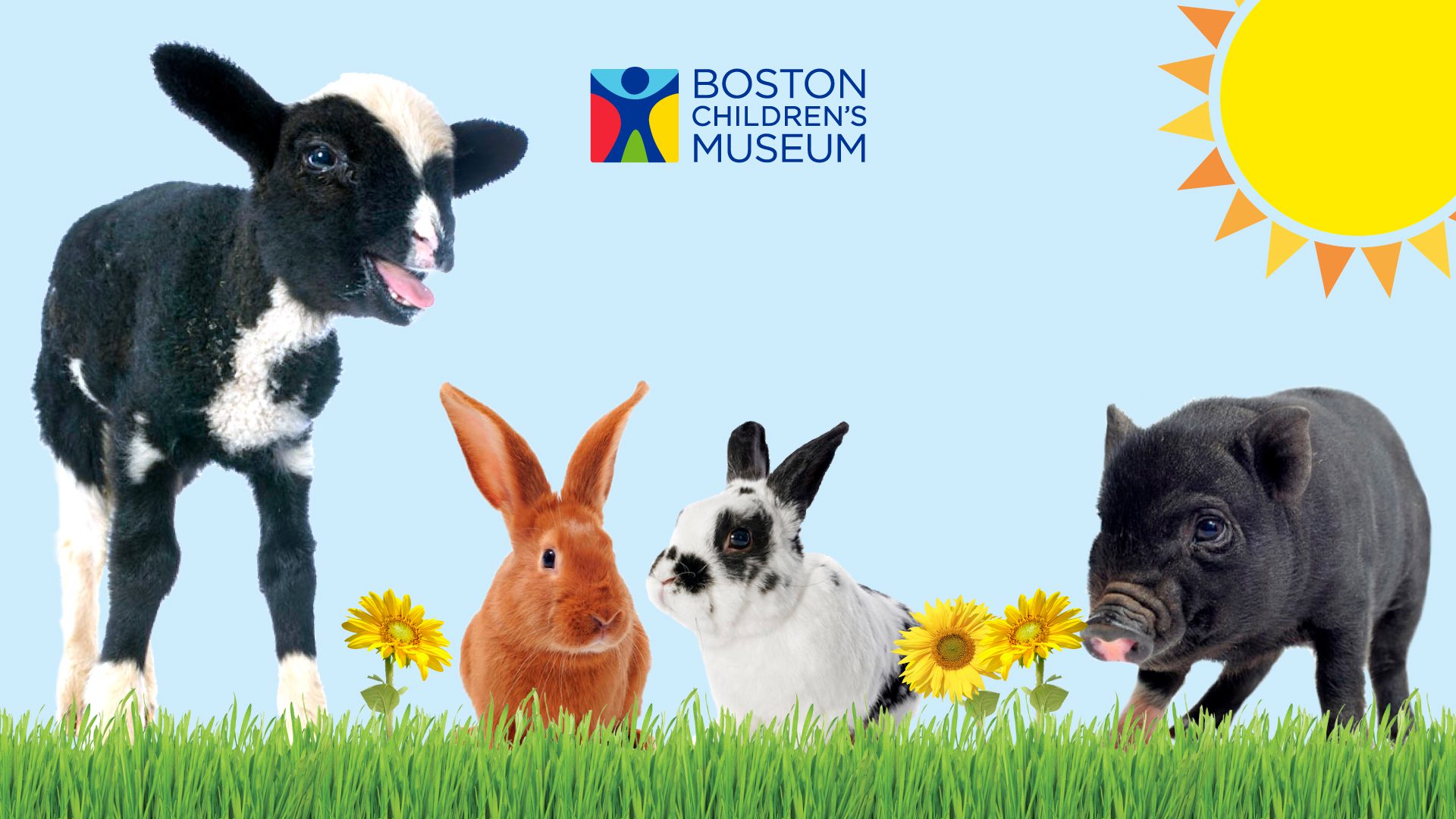 Boston Children’s Museum Spring Into Nature Special After-Hours Event