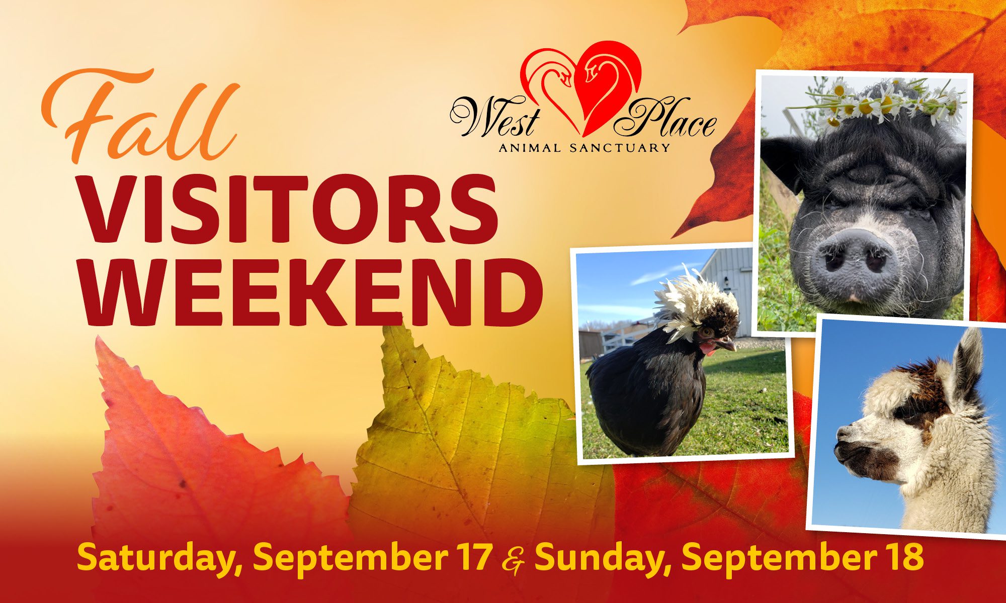 Fall Visitors Weekend at West Place Animal Sanctuary