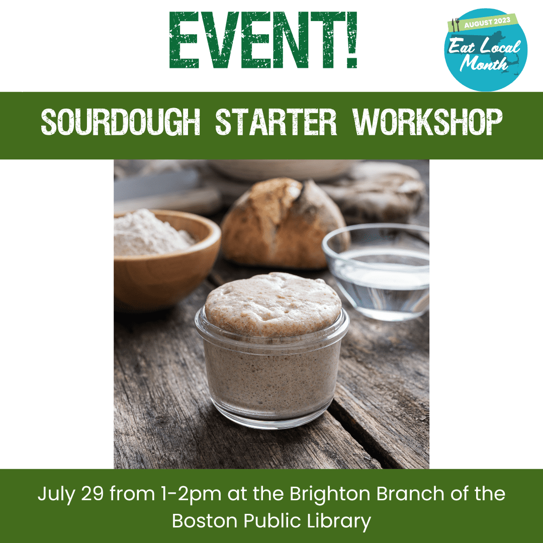 Sourdough Starter Workshop with Sourdough Brandon